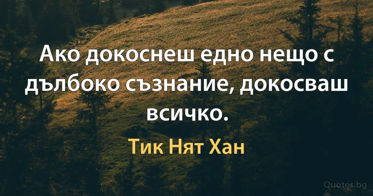 Ако докоснеш едно нещо с дълбоко съзнание, докосваш всичко. (Тик Нят Хан)