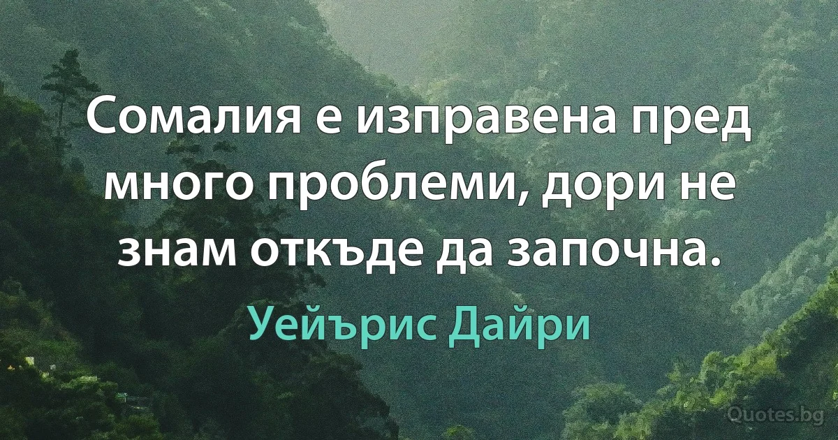 Сомалия е изправена пред много проблеми, дори не знам откъде да започна. (Уейърис Дайри)