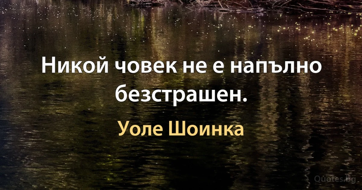 Никой човек не е напълно безстрашен. (Уоле Шоинка)