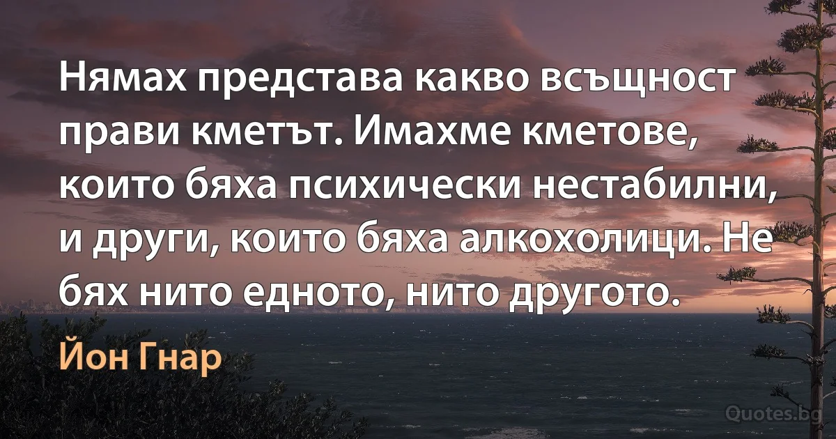 Нямах представа какво всъщност прави кметът. Имахме кметове, които бяха психически нестабилни, и други, които бяха алкохолици. Не бях нито едното, нито другото. (Йон Гнар)