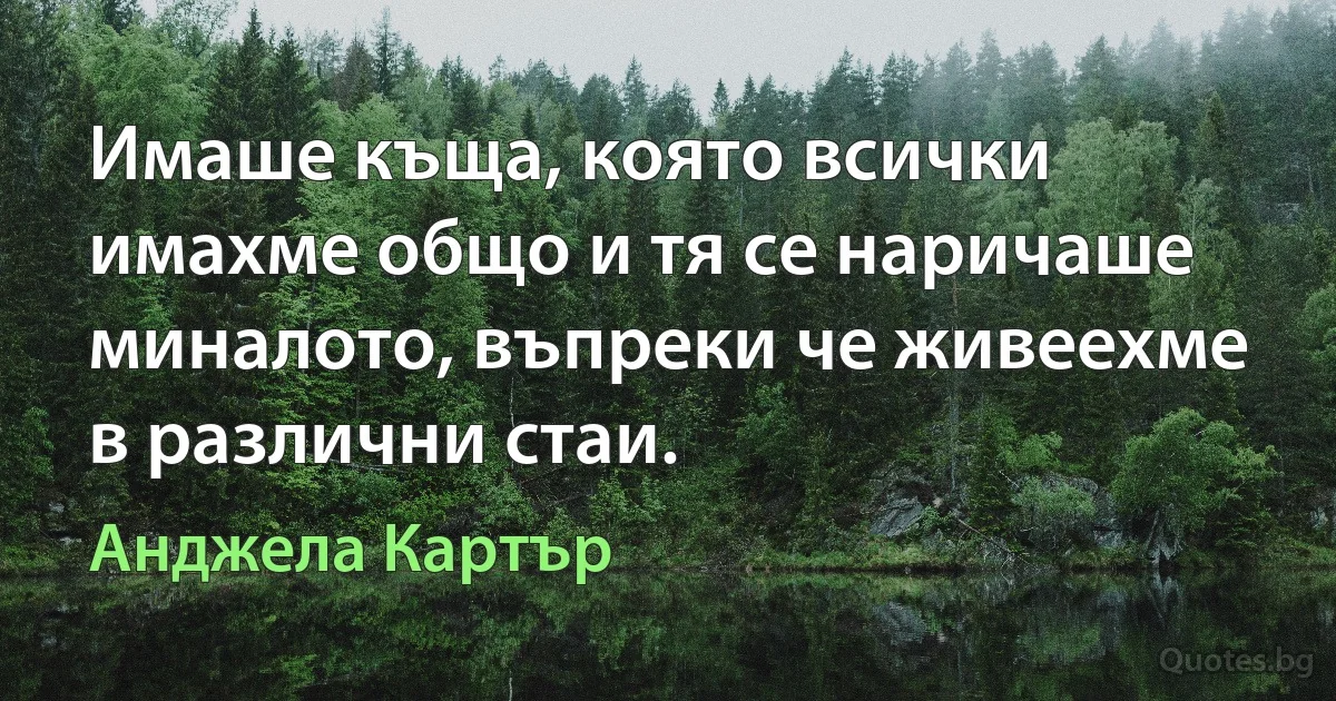 Имаше къща, която всички имахме общо и тя се наричаше миналото, въпреки че живеехме в различни стаи. (Анджела Картър)