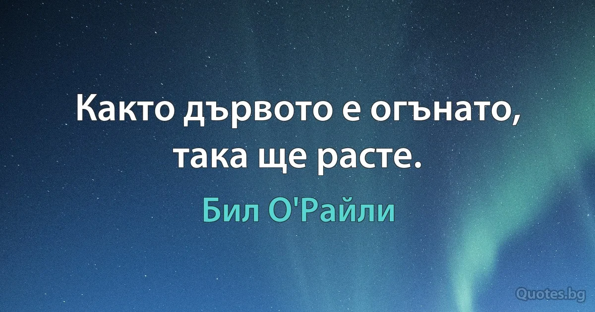 Както дървото е огънато, така ще расте. (Бил О'Райли)