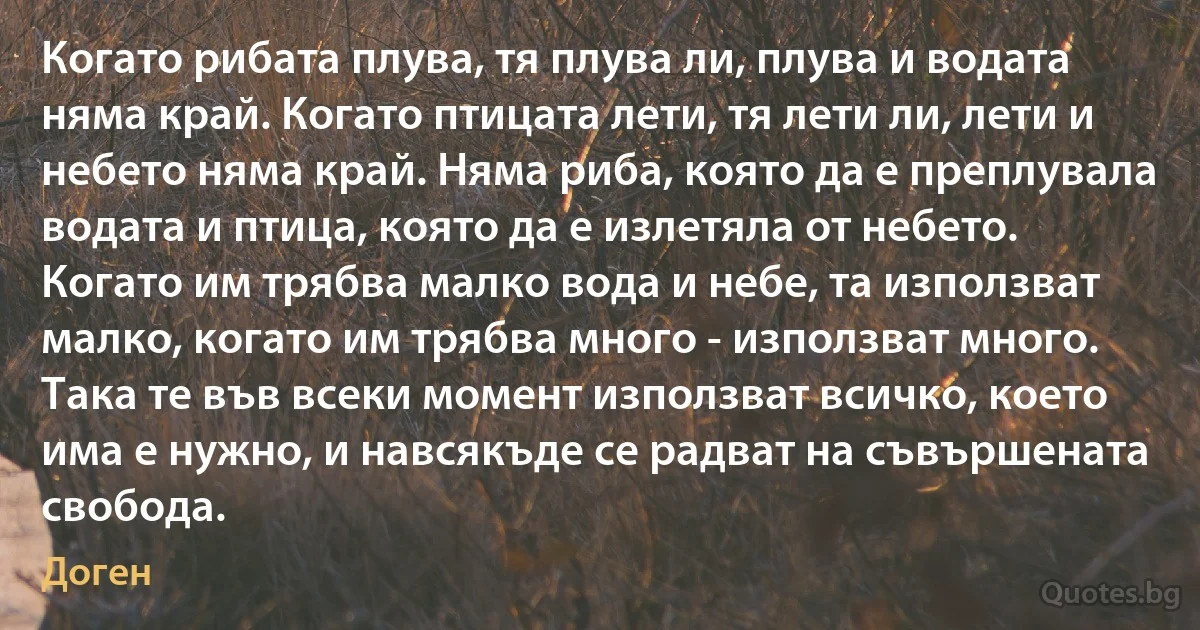 Когато рибата плува, тя плува ли, плува и водата няма край. Когато птицата лети, тя лети ли, лети и небето няма край. Няма риба, която да е преплувала водата и птица, която да е излетяла от небето. Когато им трябва малко вода и небе, та използват малко, когато им трябва много - използват много. Така те във всеки момент използват всичко, което има е нужно, и навсякъде се радват на съвършената свобода. (Доген)