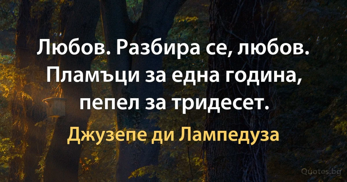 Любов. Разбира се, любов. Пламъци за една година, пепел за тридесет. (Джузепе ди Лампедуза)