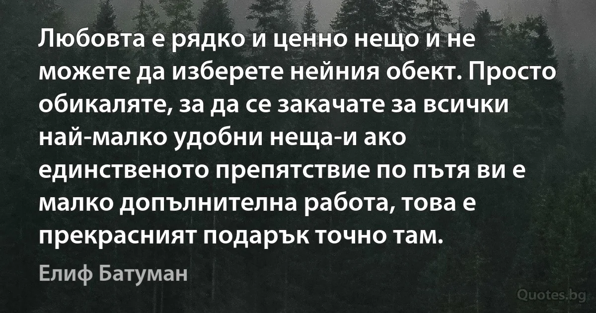 Любовта е рядко и ценно нещо и не можете да изберете нейния обект. Просто обикаляте, за да се закачате за всички най-малко удобни неща-и ако единственото препятствие по пътя ви е малко допълнителна работа, това е прекрасният подарък точно там. (Елиф Батуман)