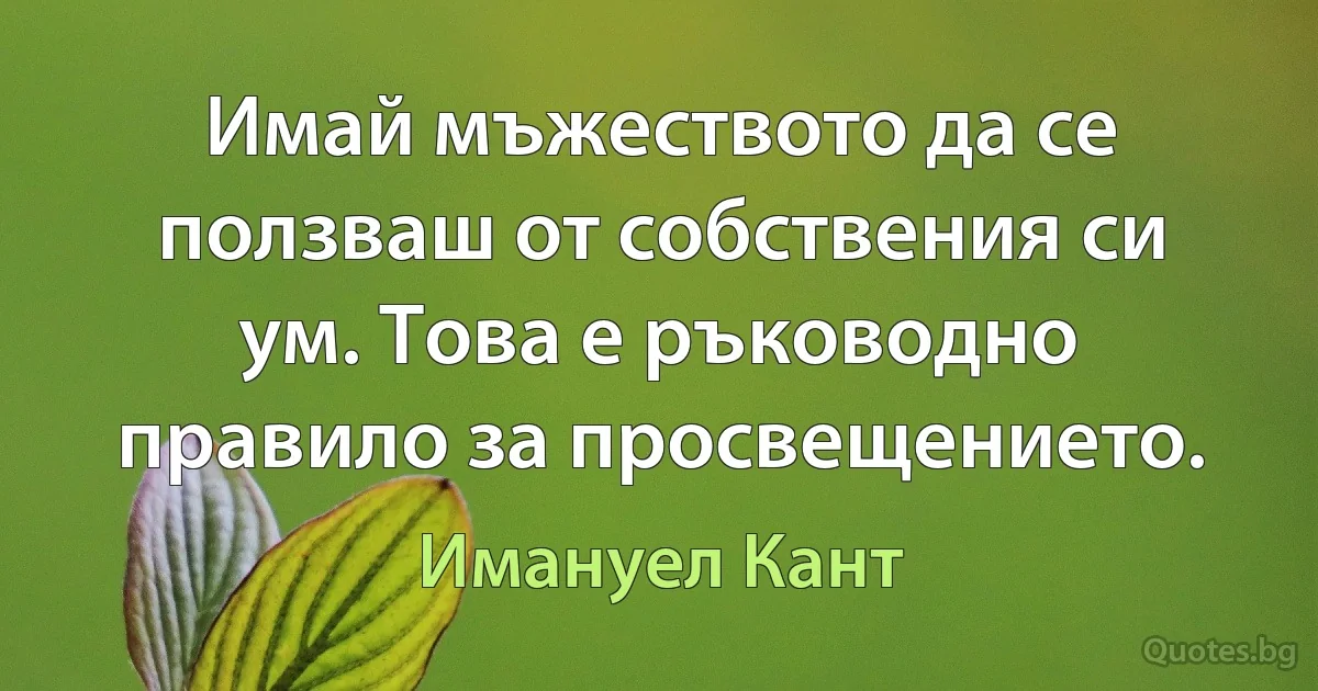 Имай мъжеството да се ползваш от собствения си ум. Това е ръководно правило за просвещението. (Имануел Кант)