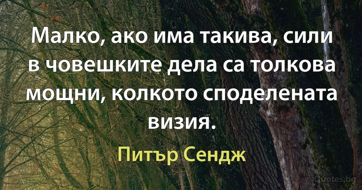 Малко, ако има такива, сили в човешките дела са толкова мощни, колкото споделената визия. (Питър Сендж)