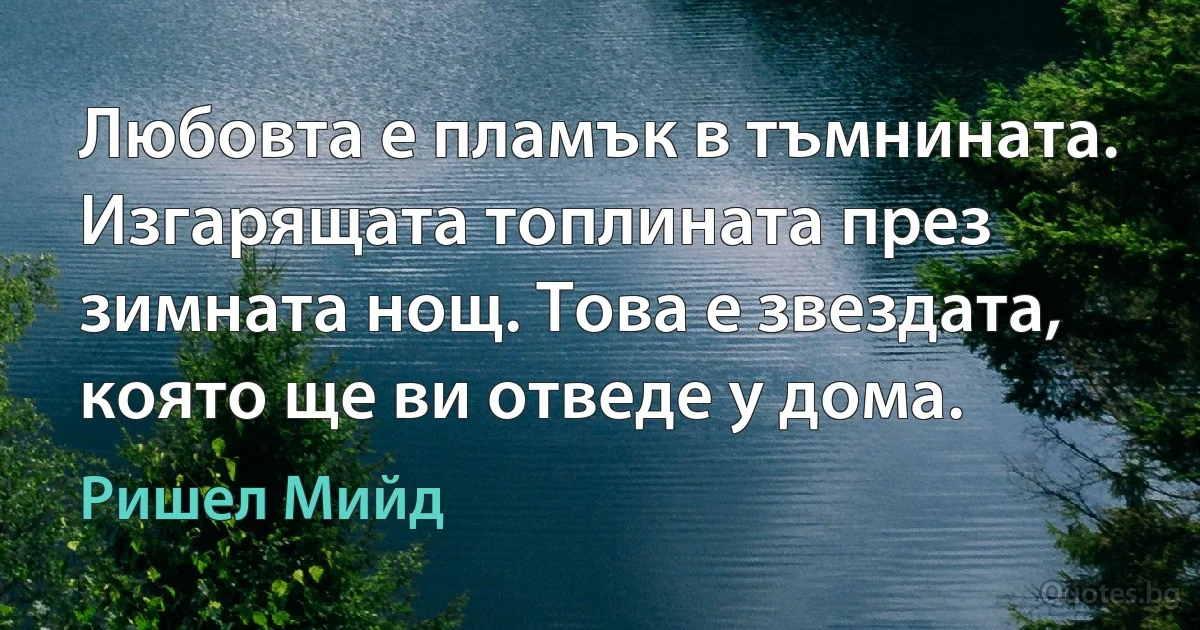 Любовта е пламък в тъмнината. Изгарящата топлината през зимната нощ. Това е звездата, която ще ви отведе у дома. (Ришел Мийд)