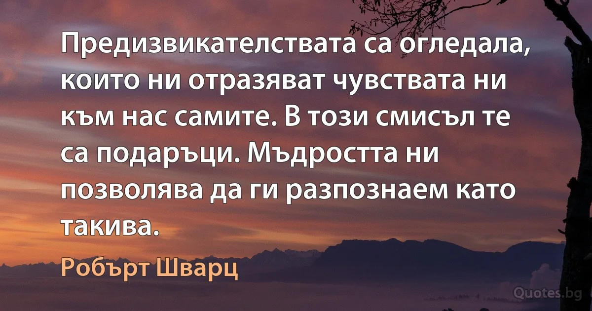 Предизвикателствата са огледала, които ни отразяват чувствата ни към нас самите. В този смисъл те са подаръци. Мъдростта ни позволява да ги разпознаем като такива. (Робърт Шварц)