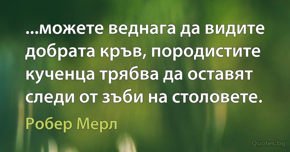 ...можете веднага да видите добрата кръв, породистите кученца трябва да оставят следи от зъби на столовете. (Робер Мерл)