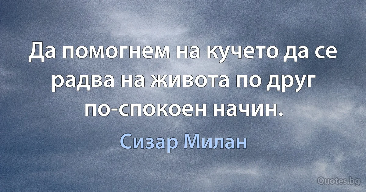 Да помогнем на кучето да се радва на живота по друг по-спокоен начин. (Сизар Милан)