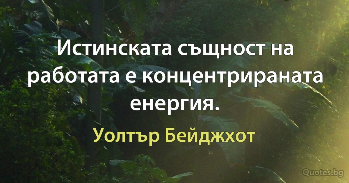 Истинската същност на работата е концентрираната енергия. (Уолтър Бейджхот)