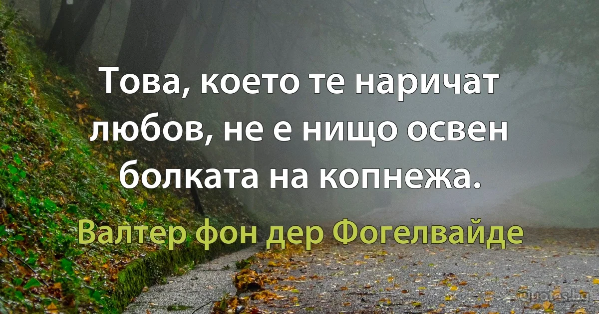 Това, което те наричат любов, не е нищо освен болката на копнежа. (Валтер фон дер Фогелвайде)