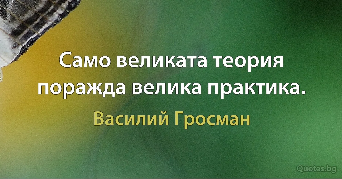 Само великата теория поражда велика практика. (Василий Гросман)