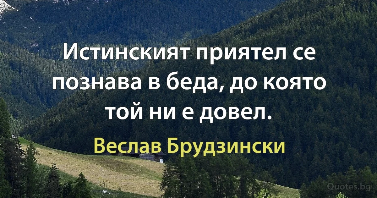 Истинският приятел се познава в беда, до която той ни е довел. (Веслав Брудзински)