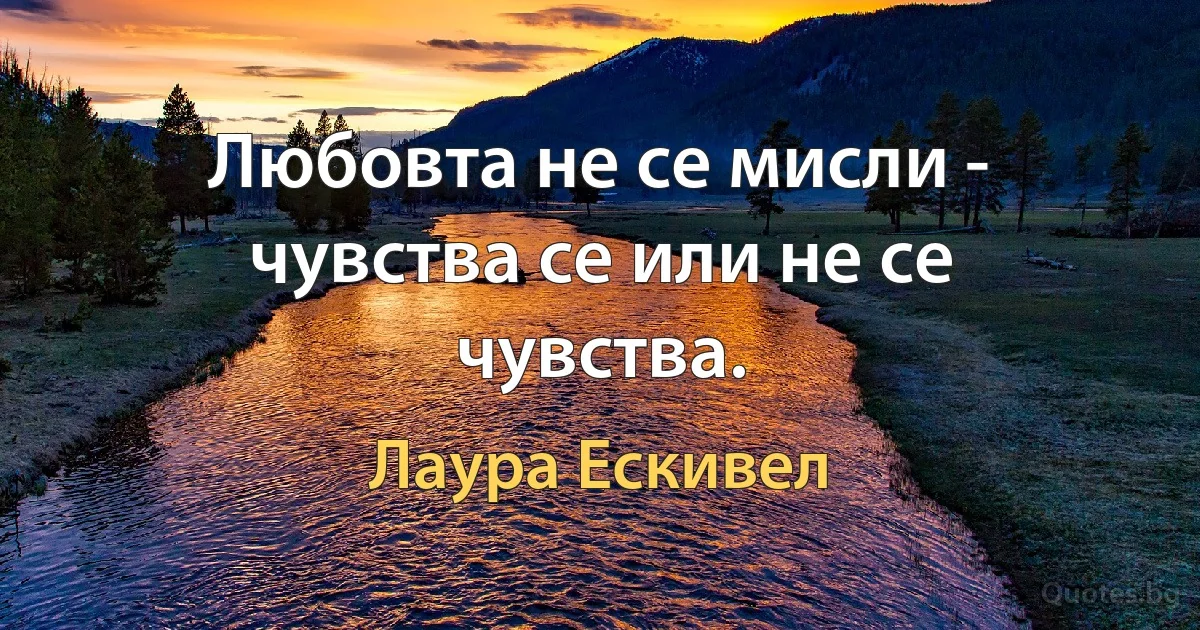 Любовта не се мисли - чувства се или не се чувства. (Лаура Ескивел)