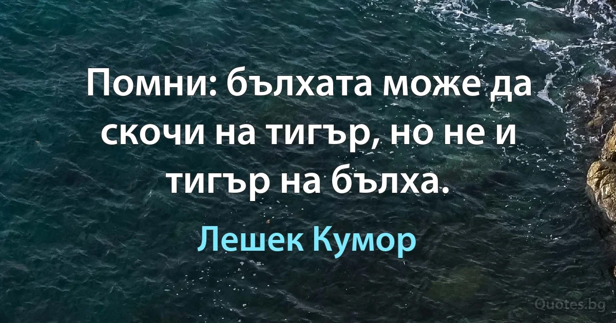 Помни: бълхата може да скочи на тигър, но не и тигър на бълха. (Лешек Кумор)