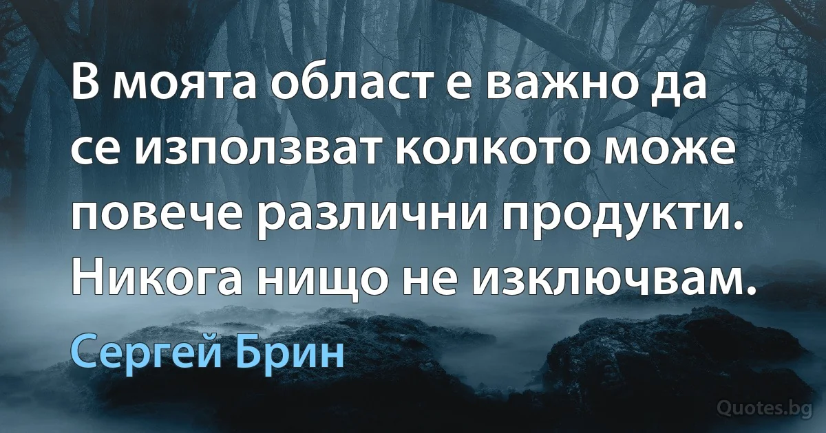 В моята област е важно да се използват колкото може повече различни продукти. Никога нищо не изключвам. (Сергей Брин)