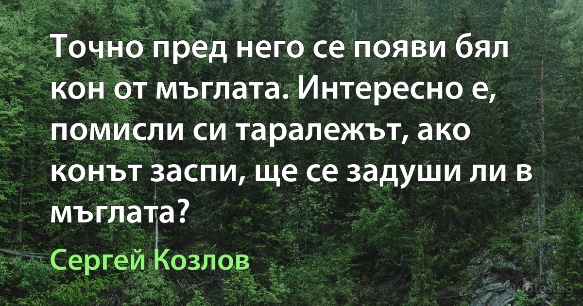 Точно пред него се появи бял кон от мъглата. Интересно е, помисли си таралежът, ако конът заспи, ще се задуши ли в мъглата? (Сергей Козлов)