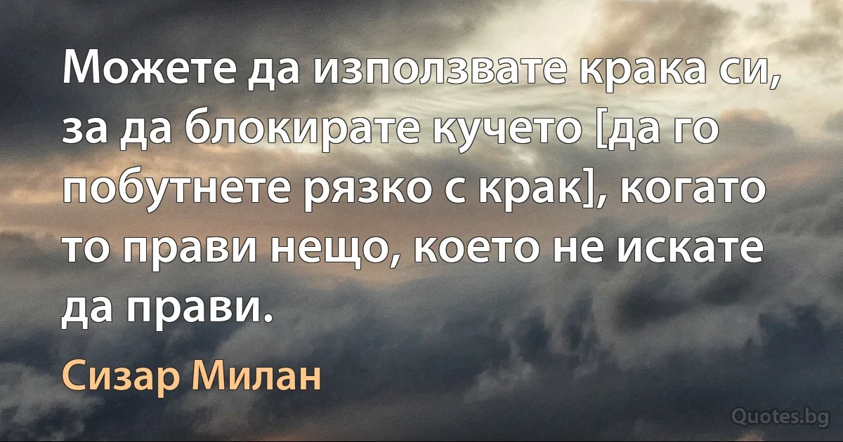 Можете да използвате крака си, за да блокирате кучето [да го побутнете рязко с крак], когато то прави нещо, което не искате да прави. (Сизар Милан)