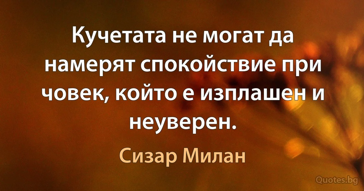 Кучетата не могат да намерят спокойствие при човек, който е изплашен и неуверен. (Сизар Милан)