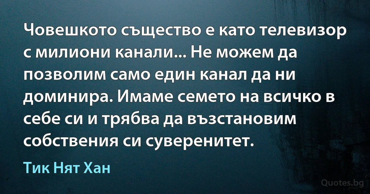 Човешкото същество е като телевизор с милиони канали... Не можем да позволим само един канал да ни доминира. Имаме семето на всичко в себе си и трябва да възстановим собствения си суверенитет. (Тик Нят Хан)