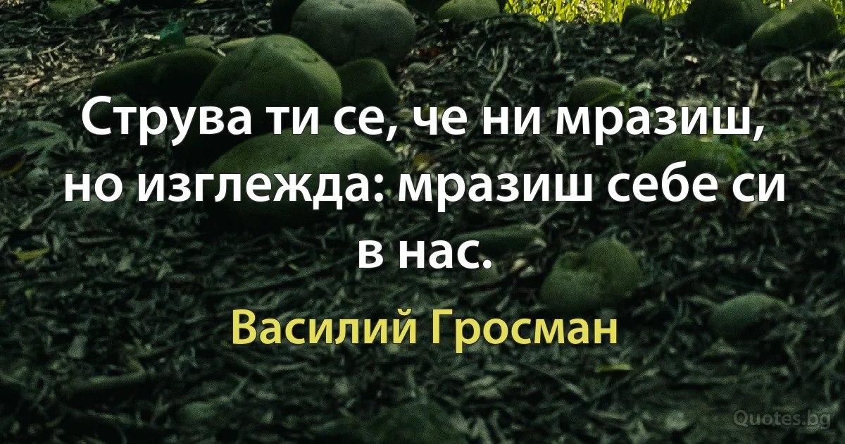 Струва ти се, че ни мразиш, но изглежда: мразиш себе си в нас. (Василий Гросман)