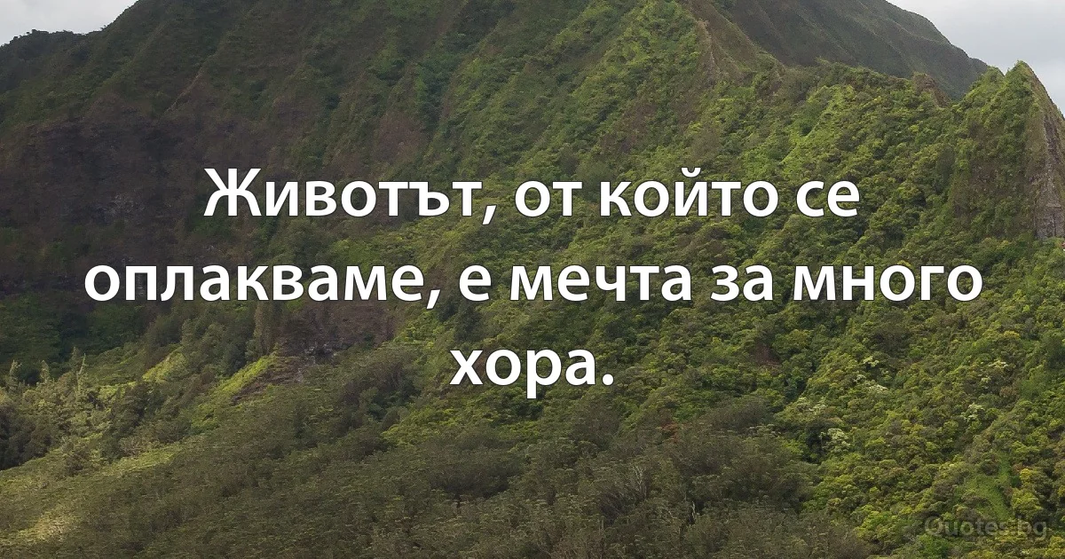 Животът, от който се оплакваме, е мечта за много хора. (INZ BG)