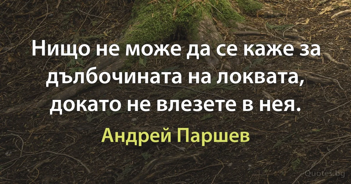 Нищо не може да се каже за дълбочината на локвата, докато не влезете в нея. (Андрей Паршев)