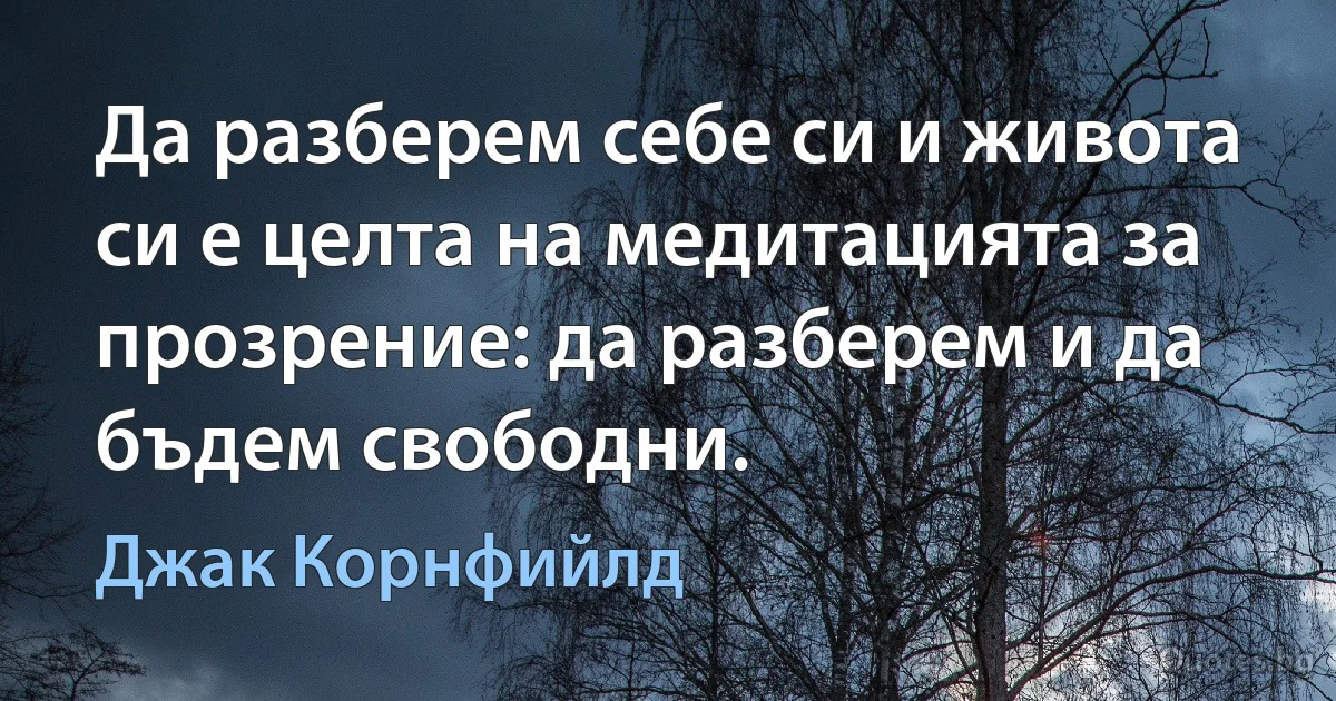 Да разберем себе си и живота си е целта на медитацията за прозрение: да разберем и да бъдем свободни. (Джак Корнфийлд)