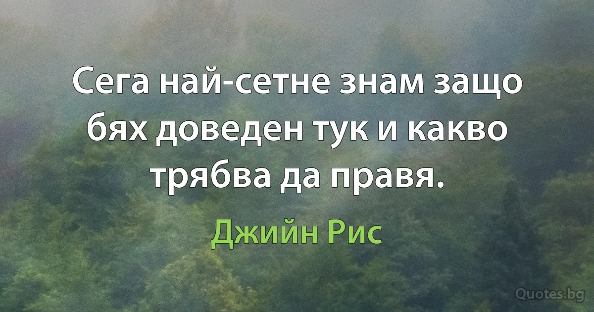 Сега най-сетне знам защо бях доведен тук и какво трябва да правя. (Джийн Рис)