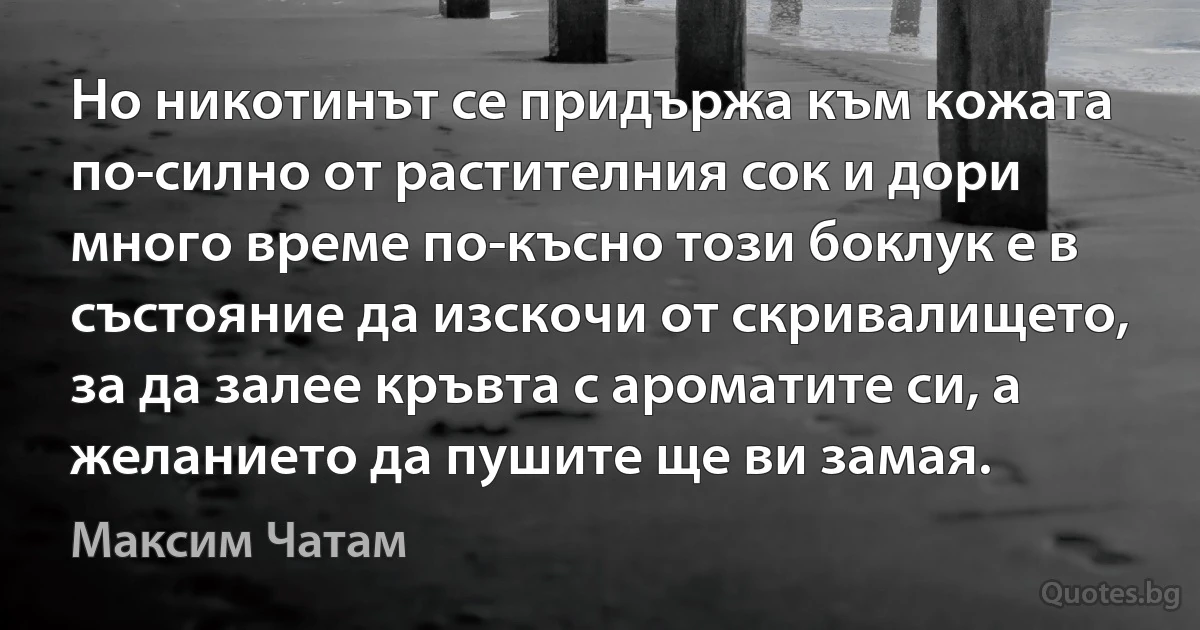 Но никотинът се придържа към кожата по-силно от растителния сок и дори много време по-късно този боклук е в състояние да изскочи от скривалището, за да залее кръвта с ароматите си, а желанието да пушите ще ви замая. (Максим Чатам)