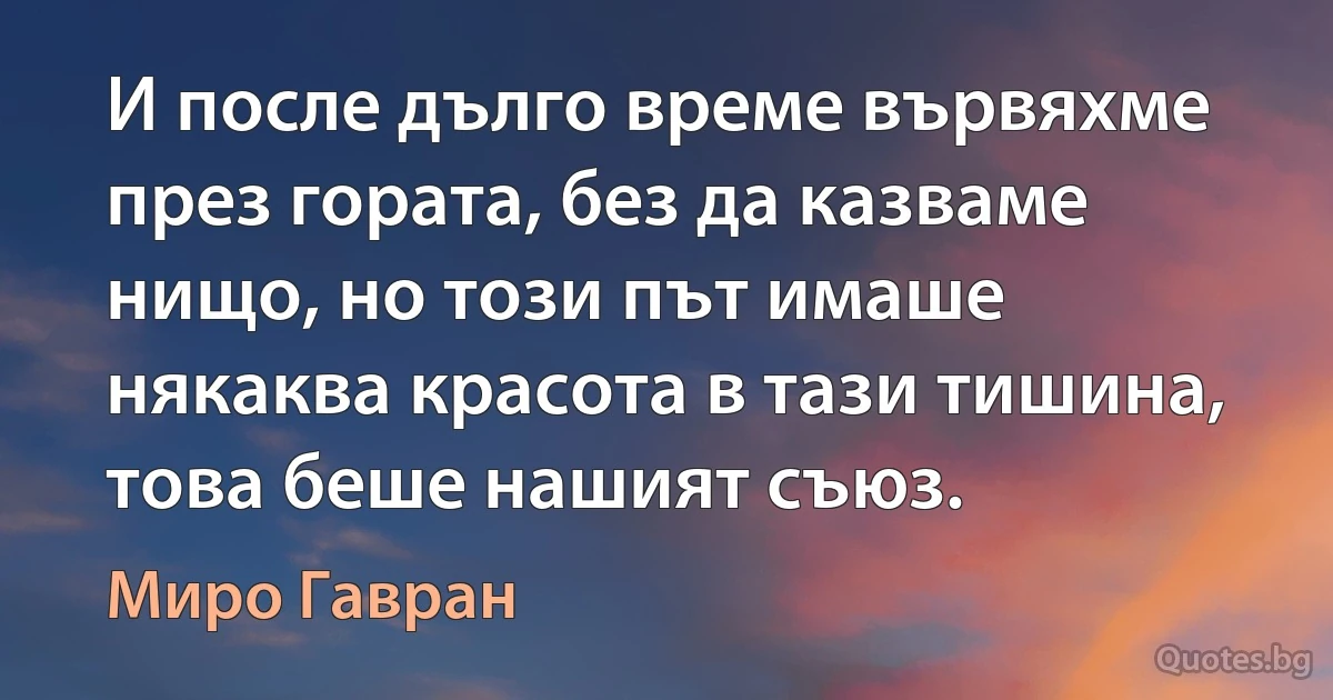 И после дълго време вървяхме през гората, без да казваме нищо, но този път имаше някаква красота в тази тишина, това беше нашият съюз. (Миро Гавран)