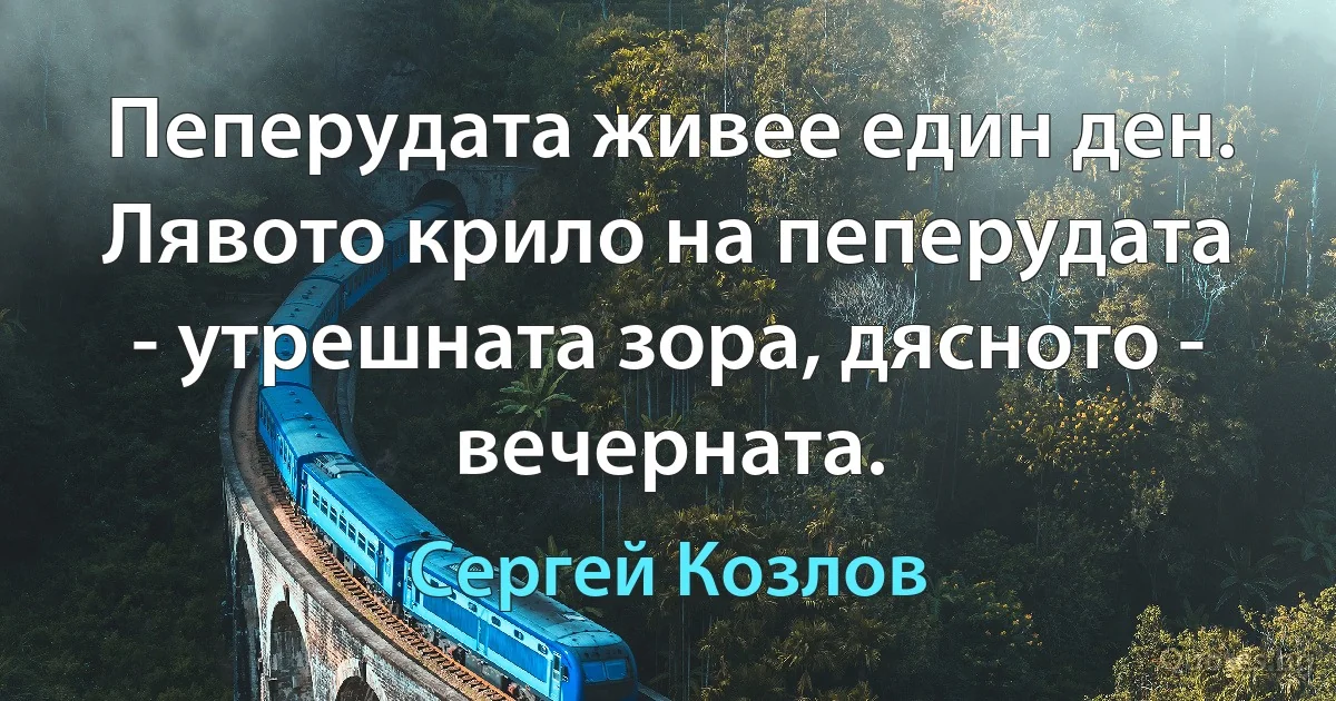 Пеперудата живее един ден. Лявото крило на пеперудата - утрешната зора, дясното - вечерната. (Сергей Козлов)