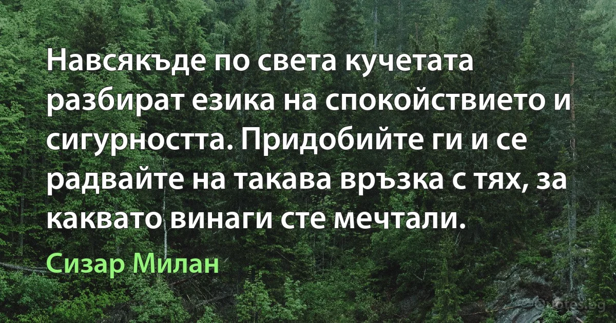 Навсякъде по света кучетата разбират езика на спокойствието и сигурността. Придобийте ги и се радвайте на такава връзка с тях, за каквато винаги сте мечтали. (Сизар Милан)