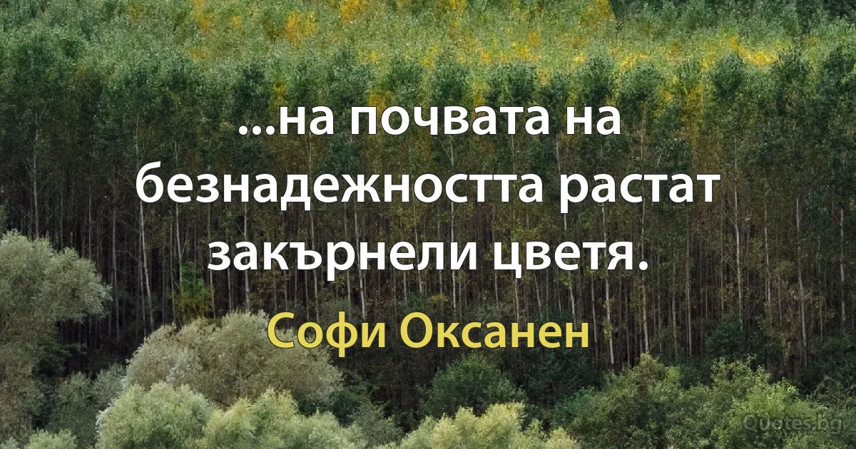 ...на почвата на безнадежността растат закърнели цветя. (Софи Оксанен)