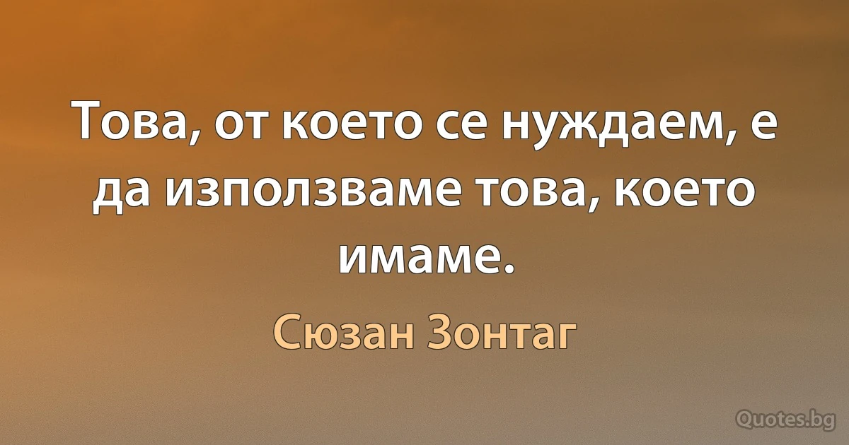 Това, от което се нуждаем, е да използваме това, което имаме. (Сюзан Зонтаг)