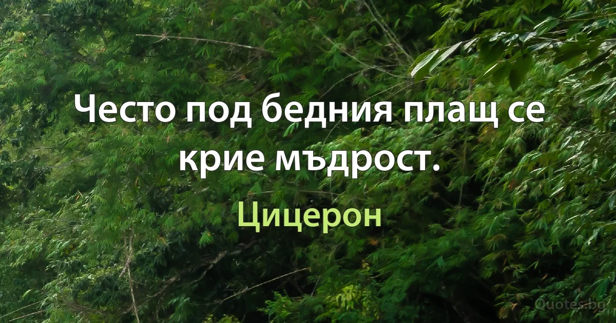 Често под бедния плащ се крие мъдрост. (Цицерон)