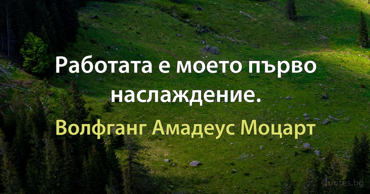 Работата е моето първо наслаждение. (Волфганг Амадеус Моцарт)