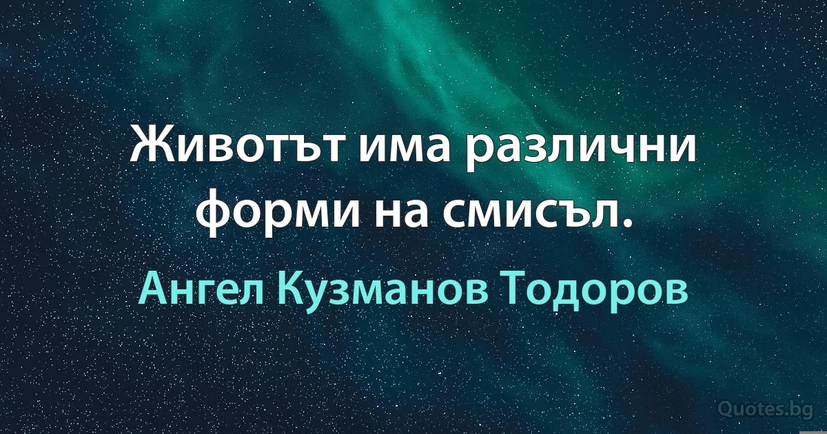 Животът има различни форми на смисъл. (Ангел Кузманов Тодоров)