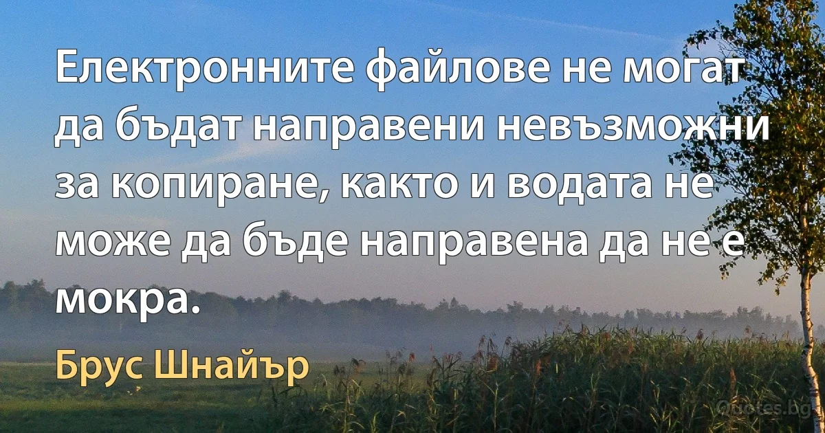 Електронните файлове не могат да бъдат направени невъзможни за копиране, както и водата не може да бъде направена да не е мокра. (Брус Шнайър)