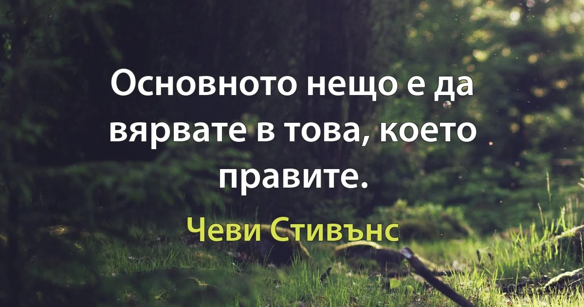 Основното нещо е да вярвате в това, което правите. (Чеви Стивънс)