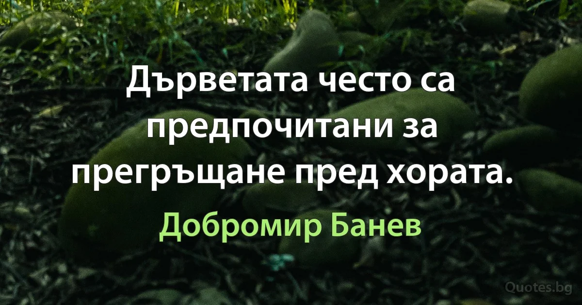 Дърветата често са предпочитани за прегръщане пред хората. (Добромир Банев)