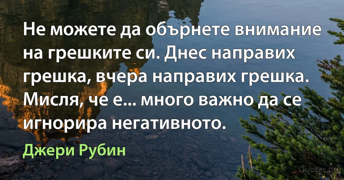 Не можете да обърнете внимание на грешките си. Днес направих грешка, вчера направих грешка. Мисля, че е... много важно да се игнорира негативното. (Джери Рубин)