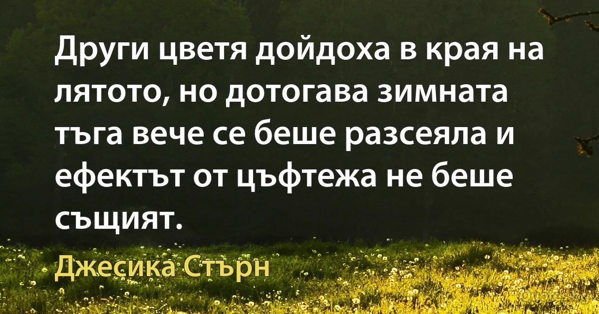 Други цветя дойдоха в края на лятото, но дотогава зимната тъга вече се беше разсеяла и ефектът от цъфтежа не беше същият. (Джесика Стърн)