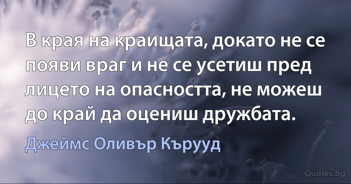 В края на краищата, докато не се появи враг и не се усетиш пред лицето на опасността, не можеш до край да оцениш дружбата. (Джеймс Оливър Кърууд)