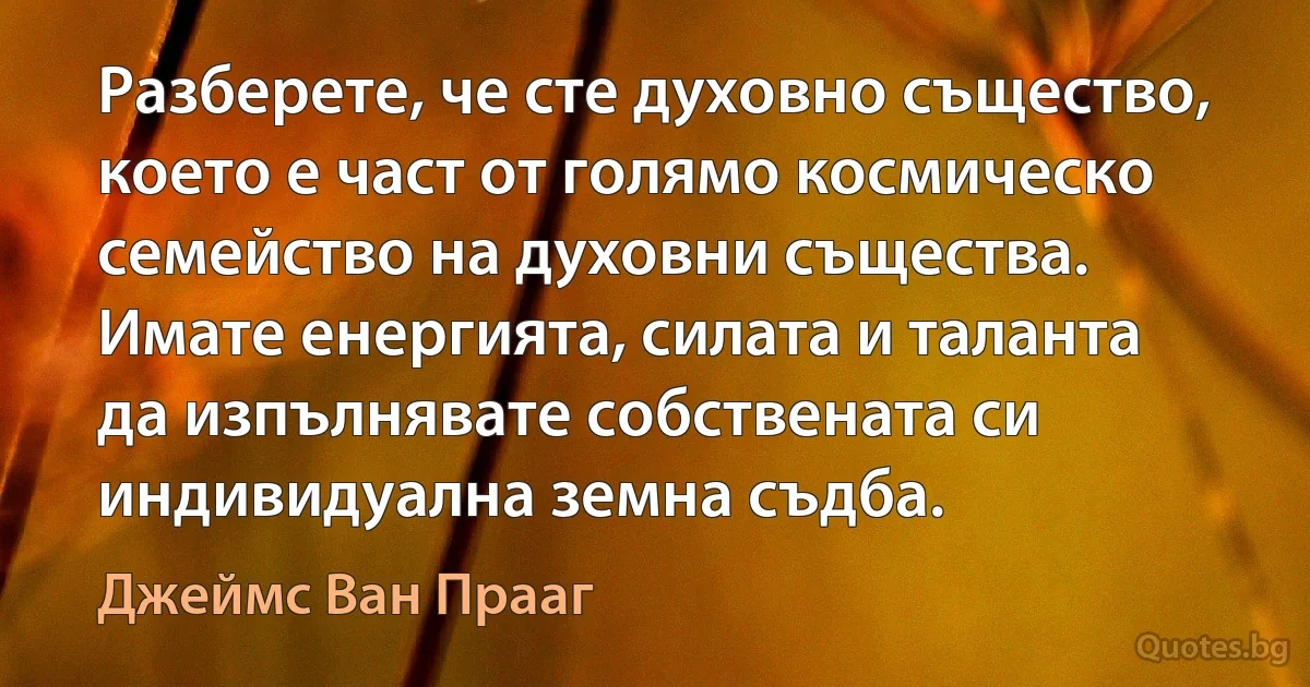 Разберете, че сте духовно същество, което е част от голямо космическо семейство на духовни същества. Имате енергията, силата и таланта да изпълнявате собствената си индивидуална земна съдба. (Джеймс Ван Прааг)