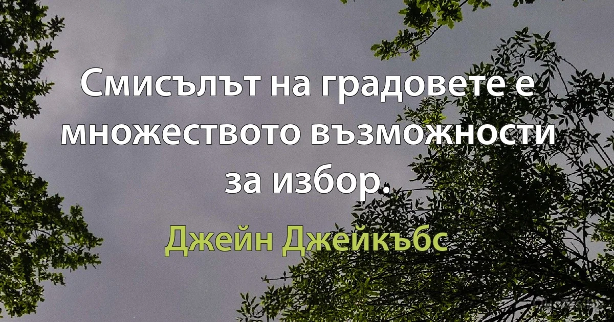 Смисълът на градовете е множеството възможности за избор. (Джейн Джейкъбс)