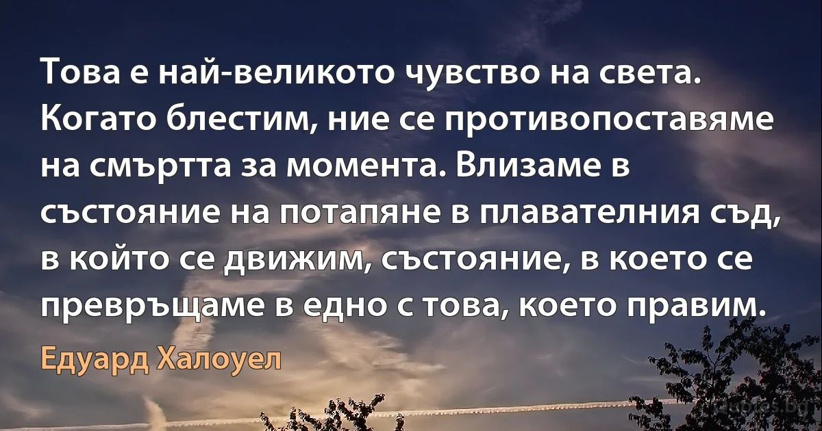 Това е най-великото чувство на света. Когато блестим, ние се противопоставяме на смъртта за момента. Влизаме в състояние на потапяне в плавателния съд, в който се движим, състояние, в което се превръщаме в едно с това, което правим. (Едуард Халоуел)