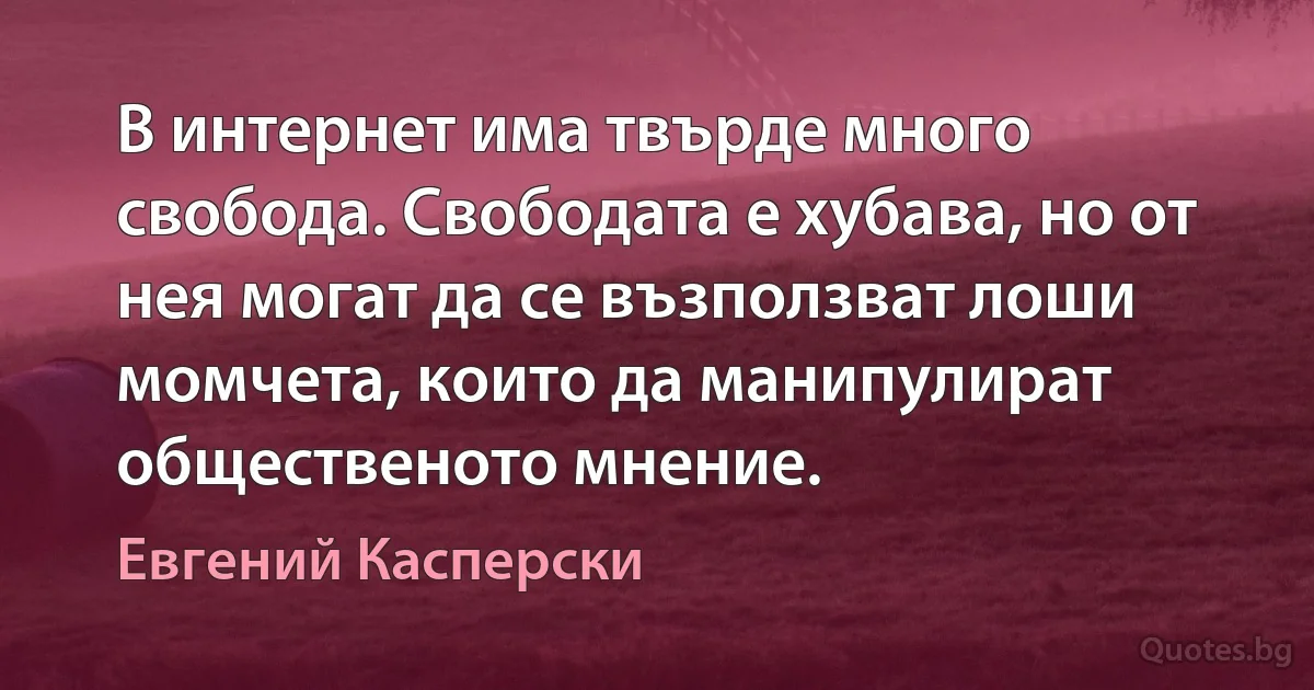 В интернет има твърде много свобода. Свободата е хубава, но от нея могат да се възползват лоши момчета, които да манипулират общественото мнение. (Евгений Касперски)